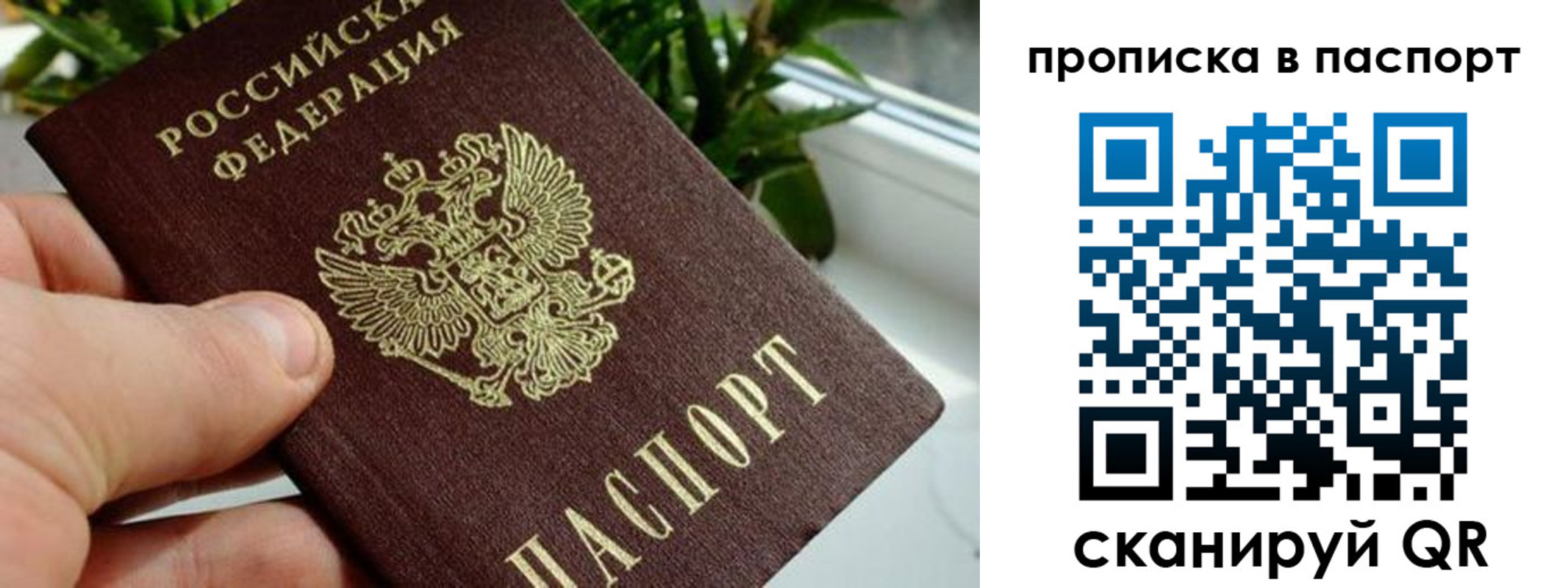 пропишу в квартире в Коврове